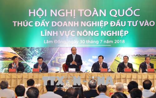 Tạo bước đột phá trong đầu tư vào lĩnh vực nông nghiệp